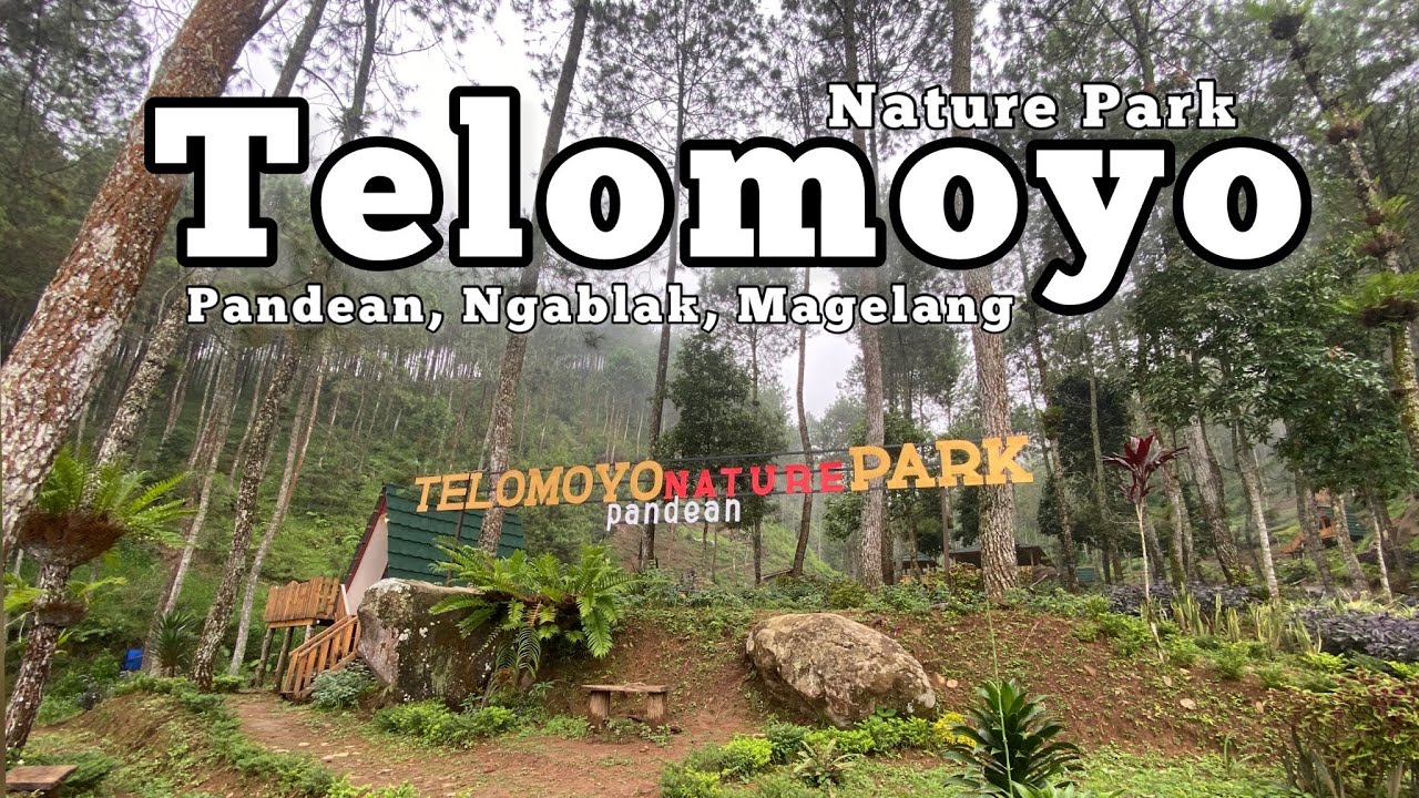 Telomoyo Nature Park: Pesona Alam yang Menyejukkan